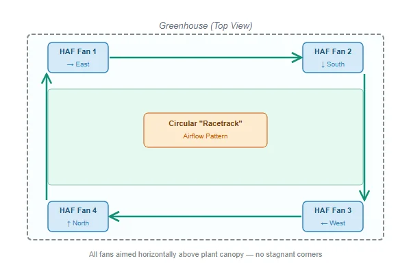 Diagram showing optimal placement of HAF (Horizontal Airflow) circulation fans to create a circular airflow pattern in a greenhouse